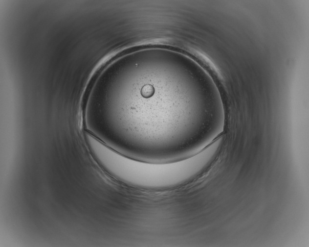 X0000112921324200908311249
