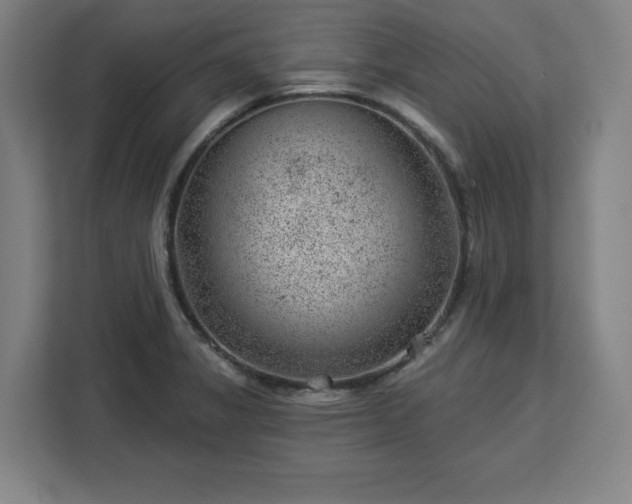 X0000112921325200908311249