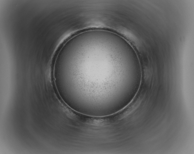 X0000112921326200908311249
