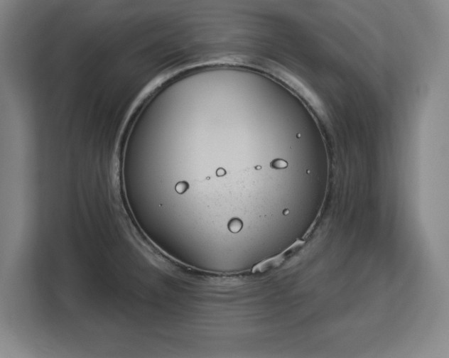 X0000112921332200908311249