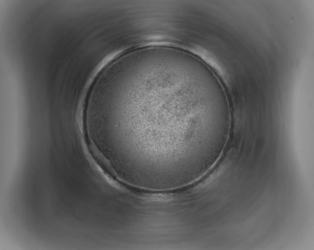 X0000112921333200908311249