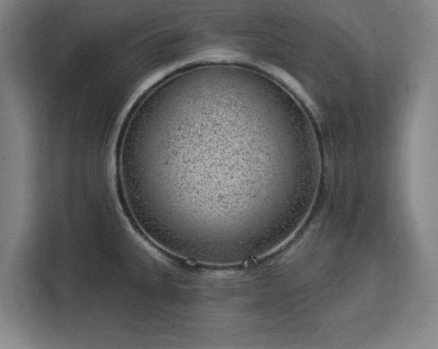 X0000112921335200908311249