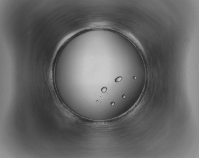 X0000112921336200908311249