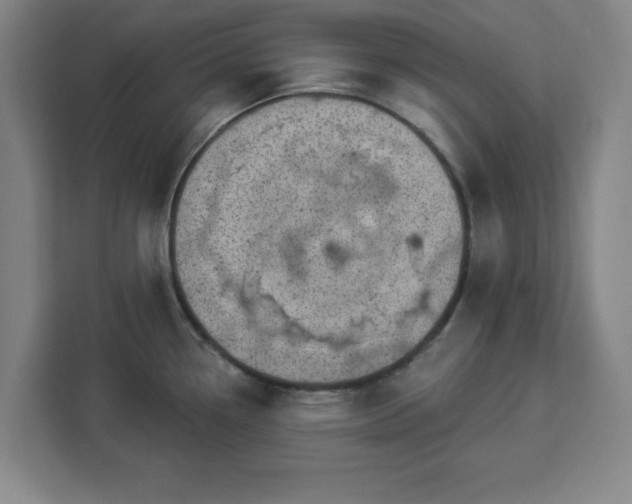X0000112921338200908311249