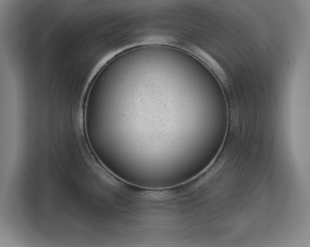 X0000112921340200908311249