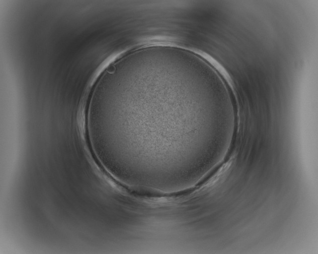 X0000112921341200908311249