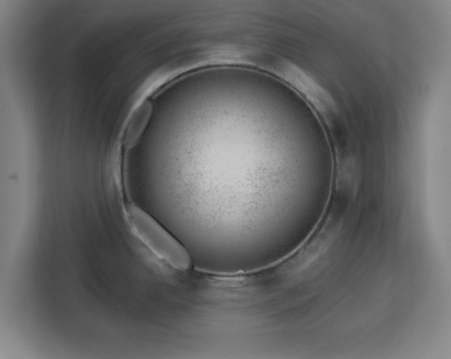 X0000112921342200908311249