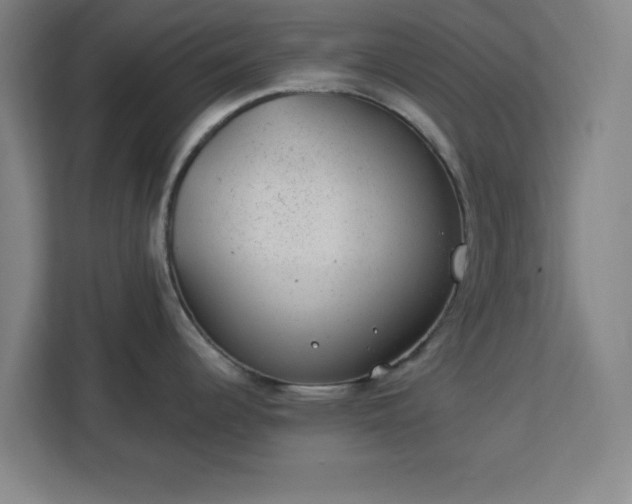 X0000112921344200908311249