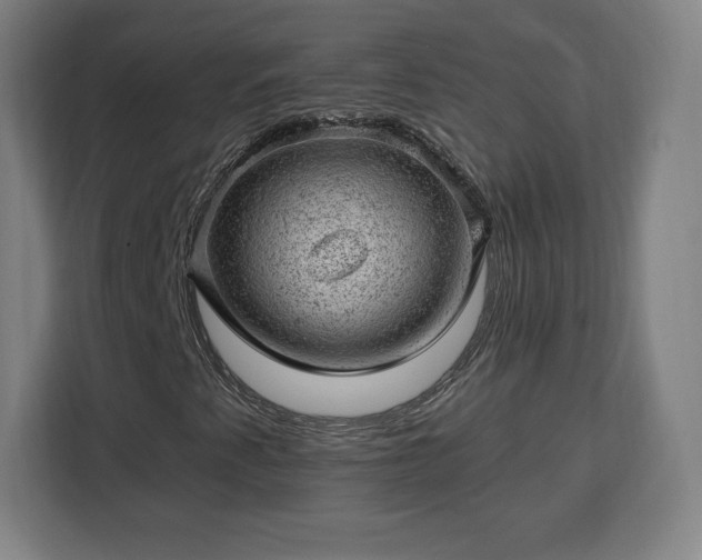 X0000112921345200908311249