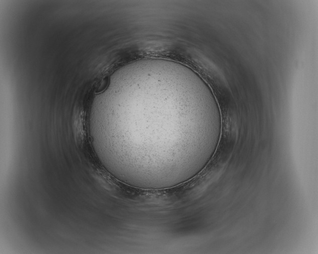 X0000112921346200908311249
