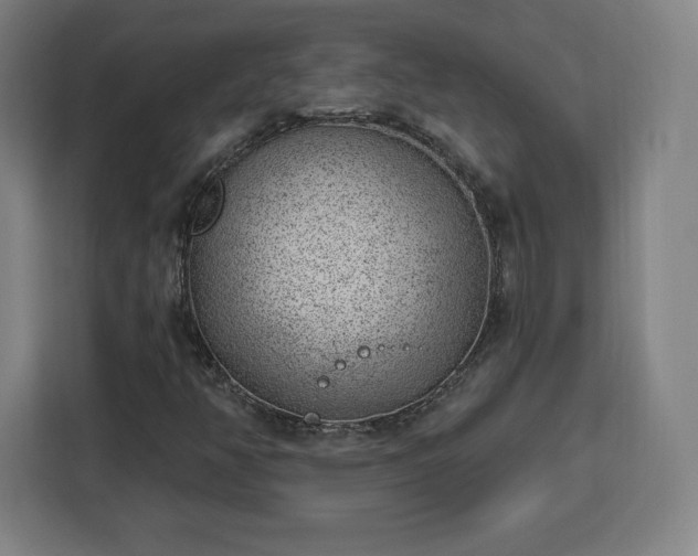 X0000112921350200908311249