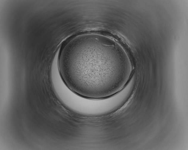 X0000112921353200908311249