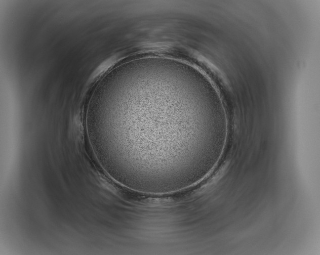 X0000112921354200908311249