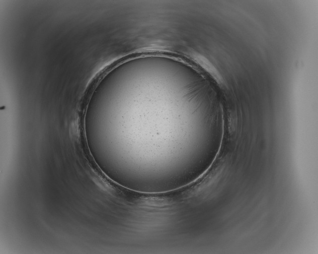 X0000112921356200908311249