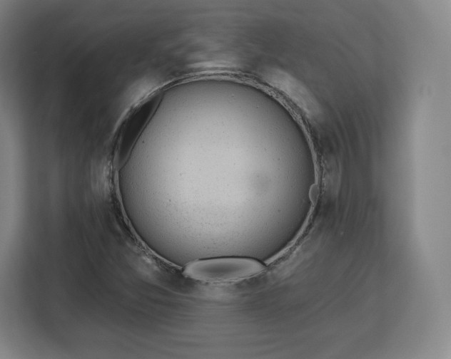 X0000112921357200908311249
