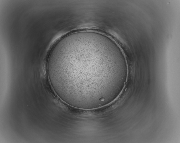 X0000112921358200908311249