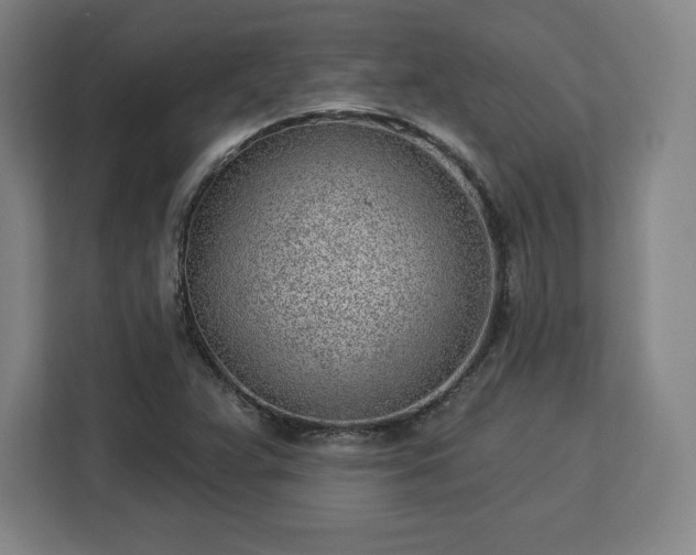 X0000112921359200908311249