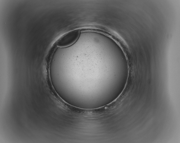 X0000112921360200908311249