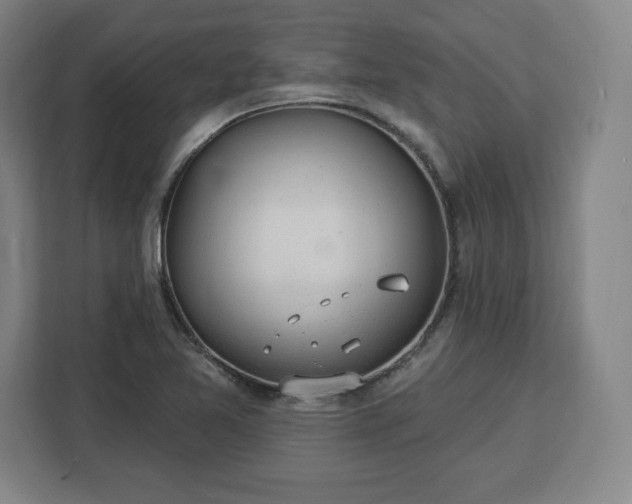 X0000112921365200908311249