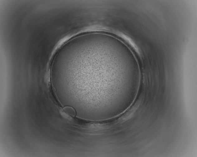 X0000112921366200908311249