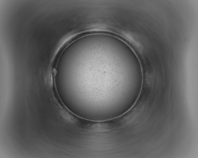 X0000112921368200908311249