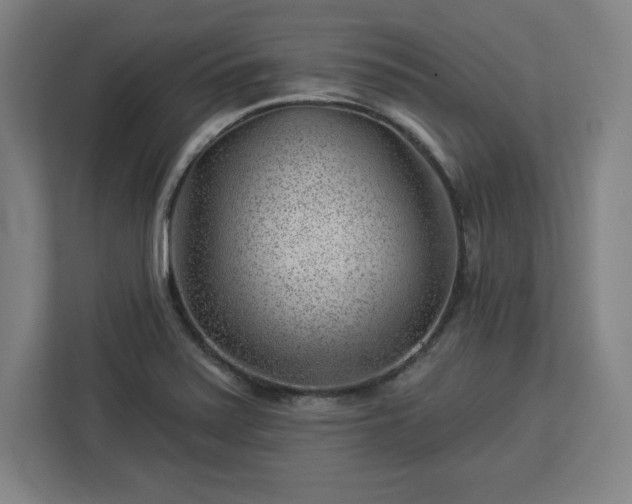 X0000112921371200908311249