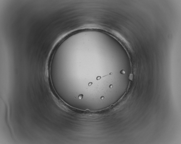X0000112921372200908311248