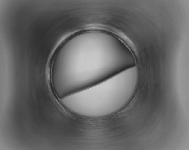 X0000112921376200908311248