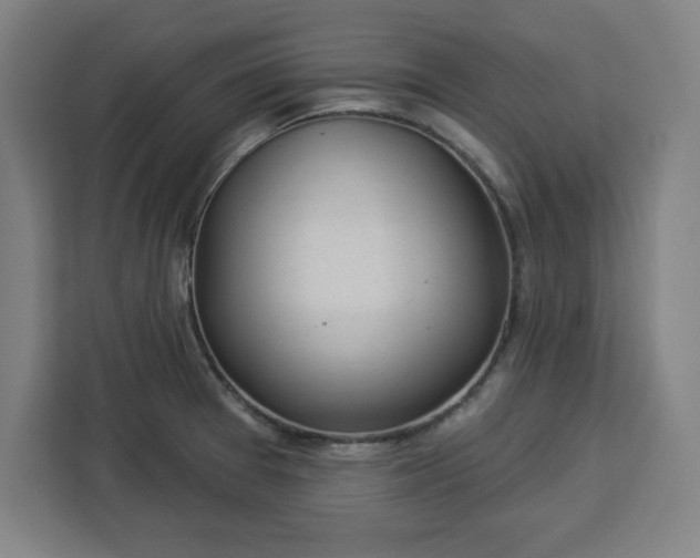X0000112921377200908311248