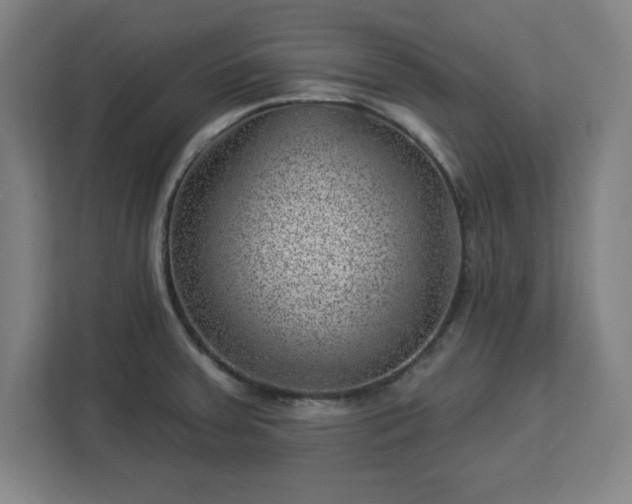 X0000112921379200908311248