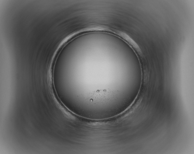 X0000112921380200908311248