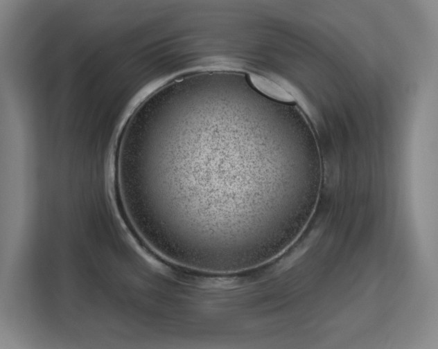 X0000112921387200908311248