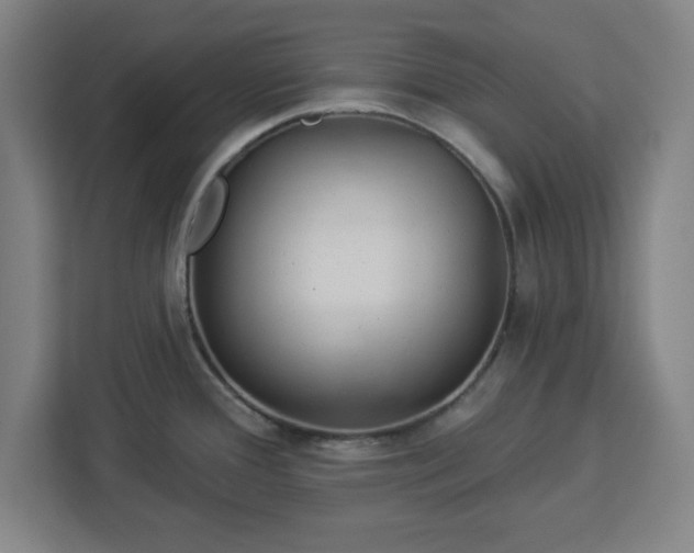 X0000112921388200908311248