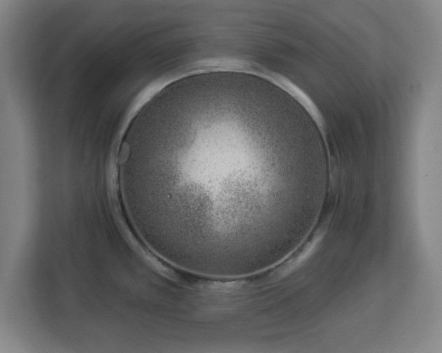 X0000112921389200908311248
