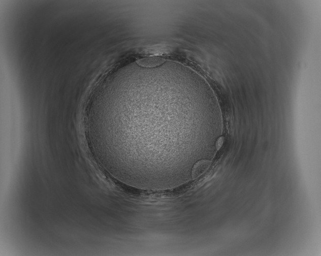 X0000112921393200908311248