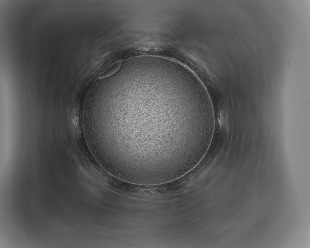 X0000112921396200908311248