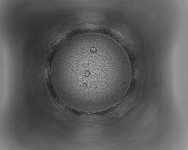 X0000112921397200908311248
