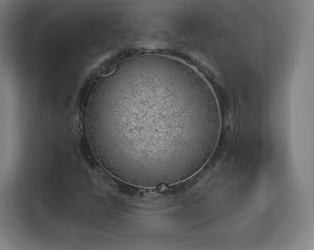 X0000112921398200908311248