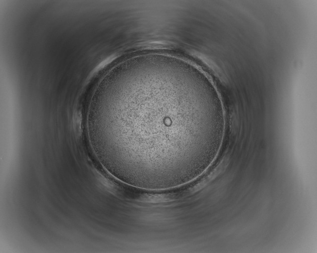 X0000112921402200908311248