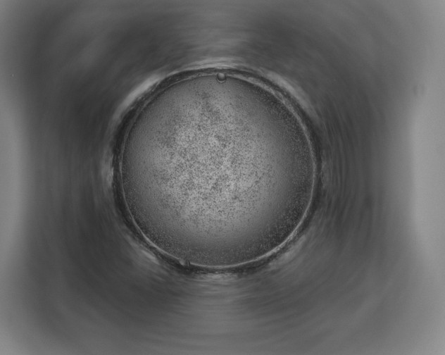 X0000112921406200908311248
