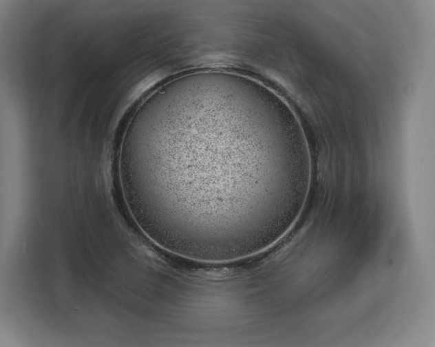 X0000112921410200908311248