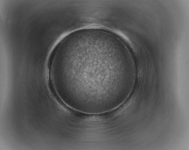 X0000112921414200908311248