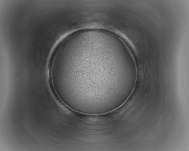 X0000112921416200908311248