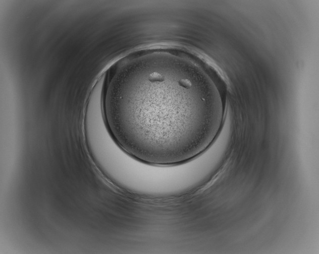 X0000112921417200908311248