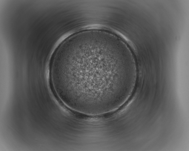X0000112921418200908311248