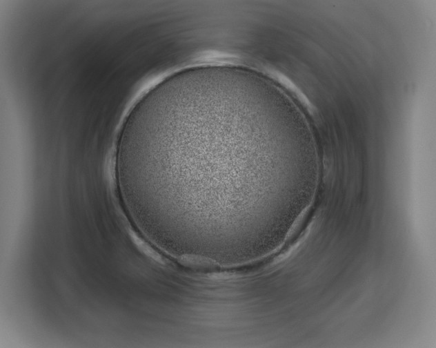 X0000112921421200908311248