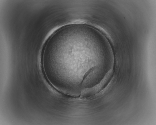 X0000112921422200908311248