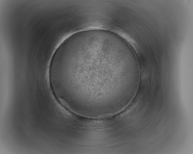X0000112921423200908311248