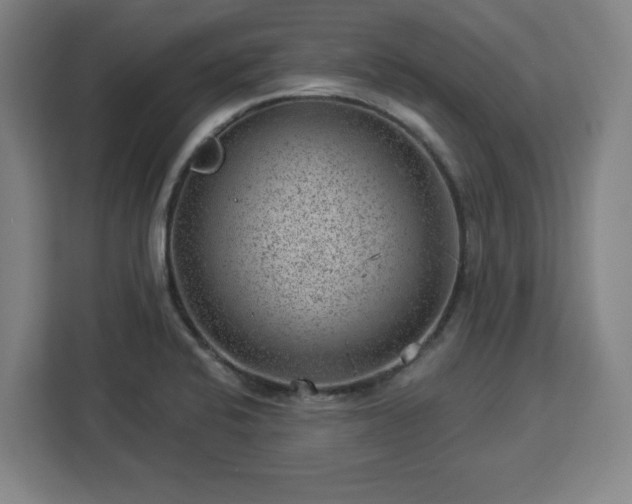 X0000112921424200908311248