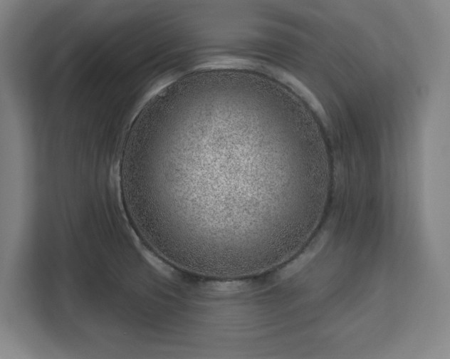 X0000112921425200908311248